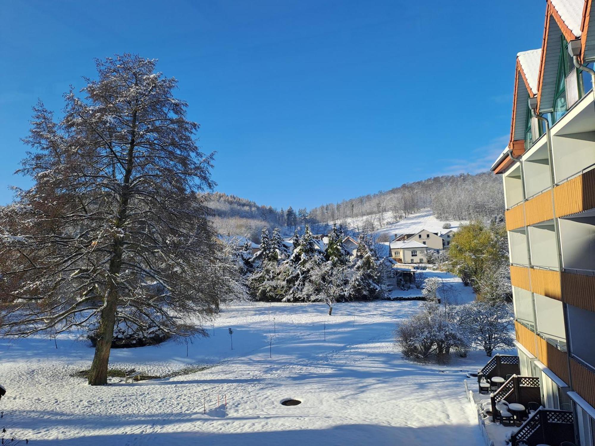 Waldhotel Baerenstein Горн-Бад-Майнберґ Екстер'єр фото